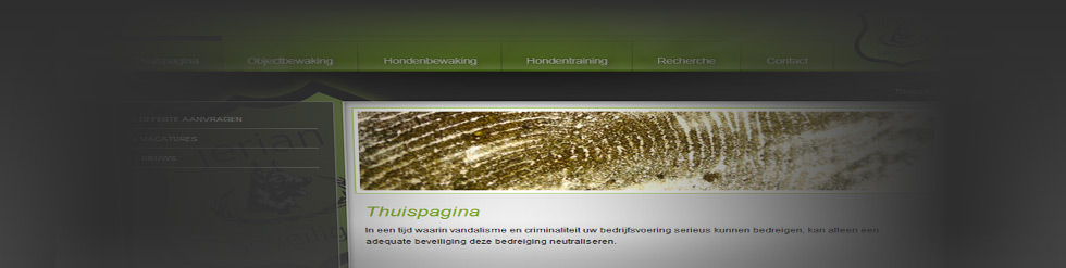 Project: Jerian.nl