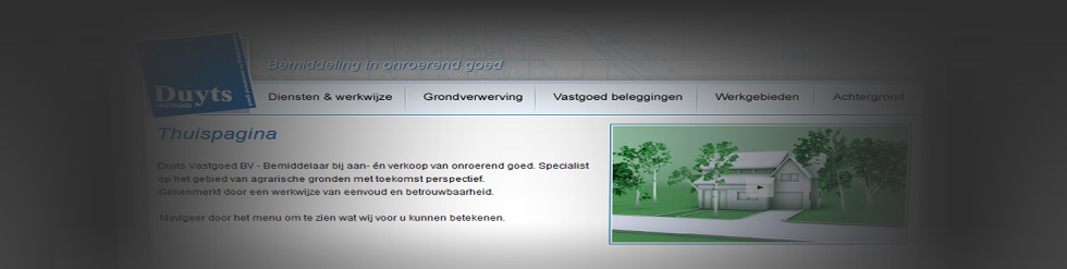 Project: Duytsvastgoed.nl