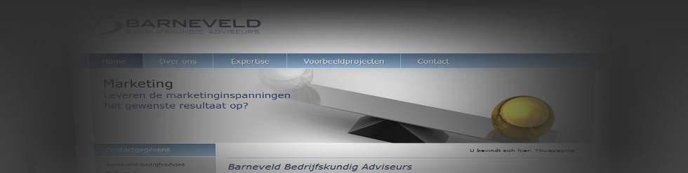 Project: Barneveldadvies.nl