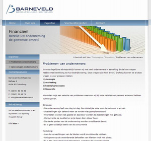 afbeelding 3 project Barneveldadvies.nl