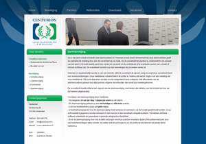 afbeelding 3 project Centurioncd.nl (blauw / groen)