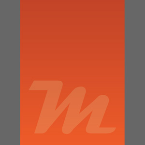 afbeelding 4 project Huisstijl: Misier