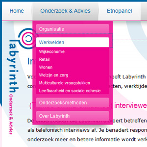 afbeelding 2 project Labyrinth-onderzoek.nl