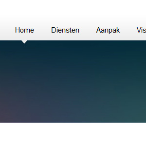 afbeelding 5 project OIM-advies.nl