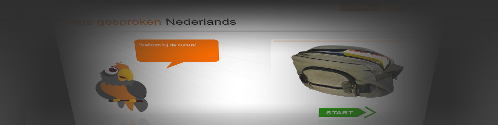 Project: Toetsgesprokennederlands.nl