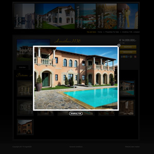 afbeelding 4 project Agent020.com