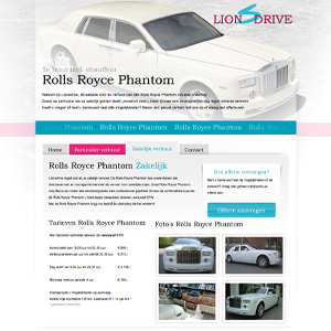 afbeelding 3 project Lionsdrive.nl