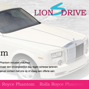 afbeelding 5 project Lionsdrive.nl