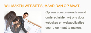 Op maat website laten maken
