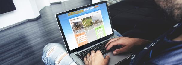 Social network Animalfanbook