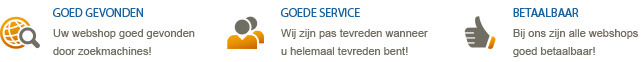professionele website bouwers