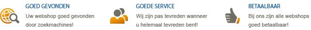 professionele website bouwers